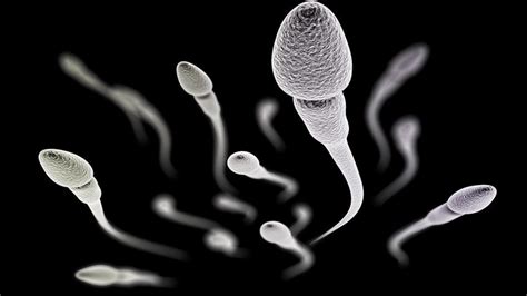 cinsel ilişkiden sonra spermin dışarı çıkması